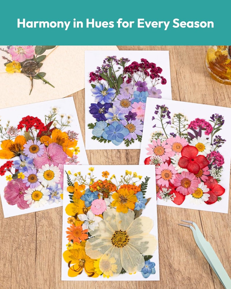 Resiners Dried Flowers, 100Pcs Pressed Flowers for Craft Real Natural Dried Flowers Dry Leaves Kit for DIY Making Crafts Resin Soap Candle Scrapbook Supplies Card Making Jewelry - Image 2